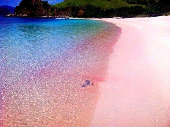 pink beach 3